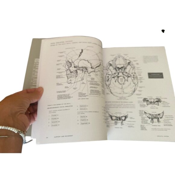 New McMurtries Human Anatomy Coloring Book 3rd Edition With 1000+ Illustrations - Picture 10 of 13